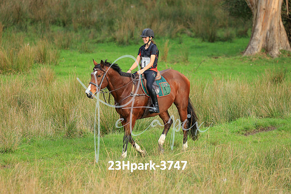 23Hpark-3747