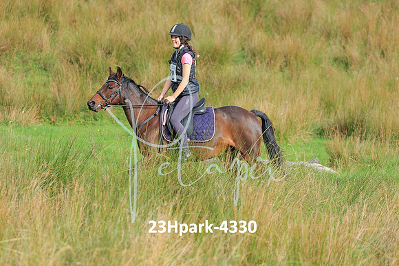 23Hpark-4330