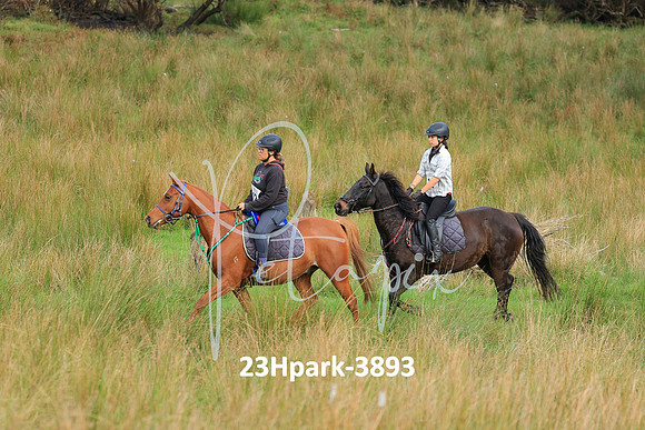 23Hpark-3893