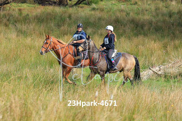 23Hpark-4671