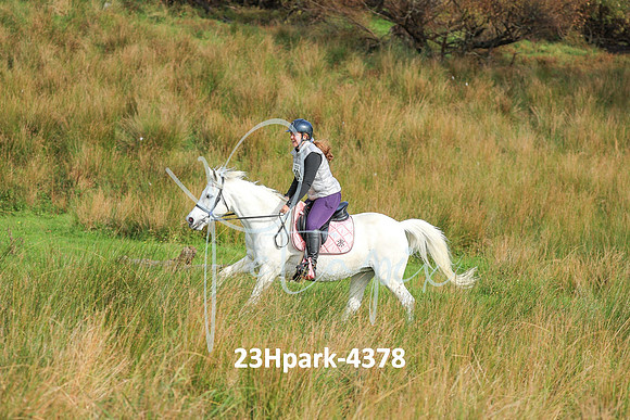 23Hpark-4378
