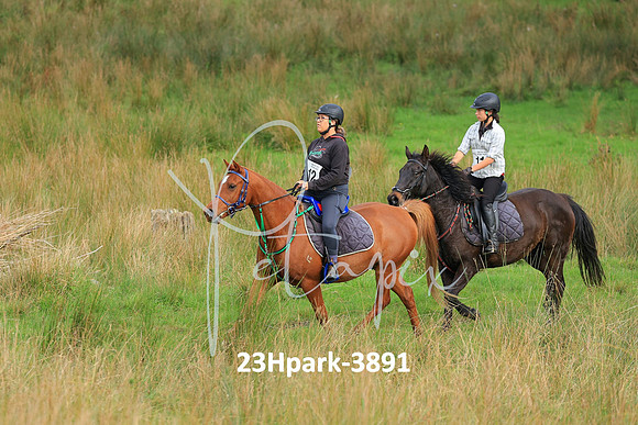 23Hpark-3891