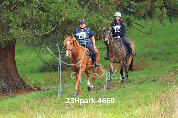 23Hpark-4660