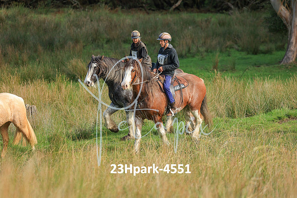 23Hpark-4551