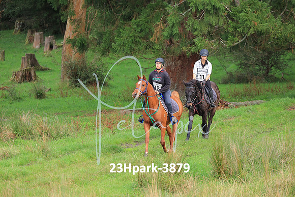 23Hpark-3879