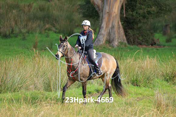 23Hpark-4669