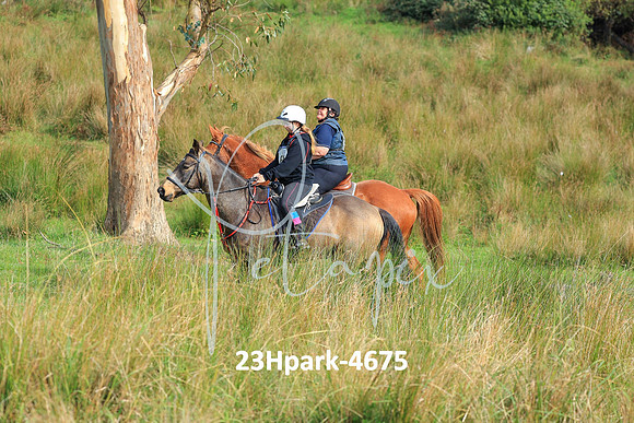 23Hpark-4675