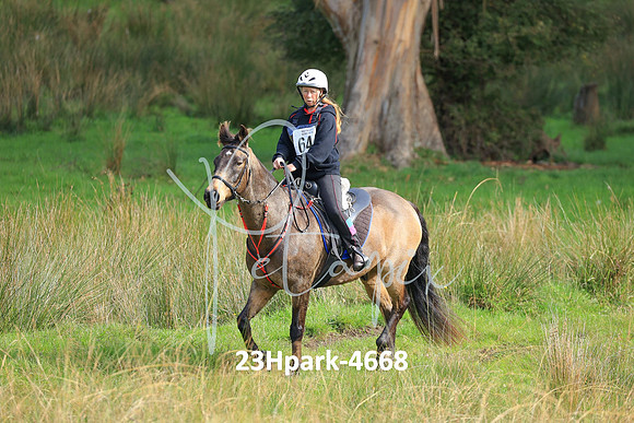 23Hpark-4668