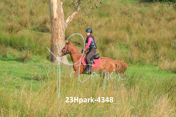23Hpark-4348