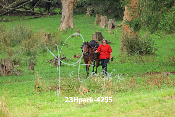 23Hpark-4295
