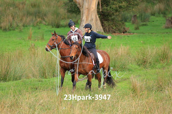23Hpark-3947