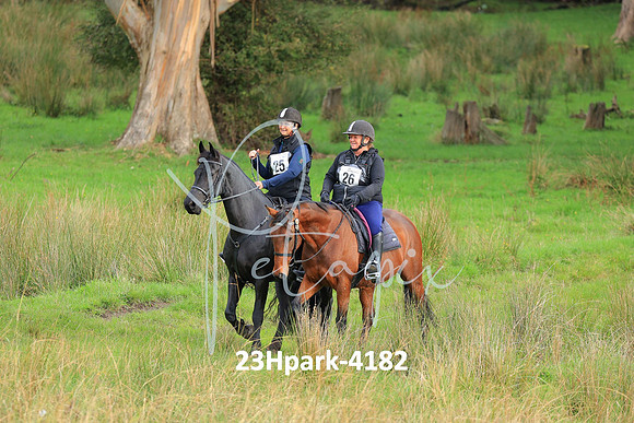 23Hpark-4182