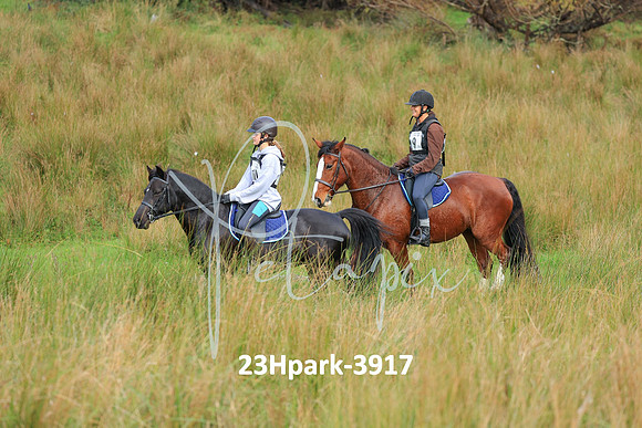 23Hpark-3917