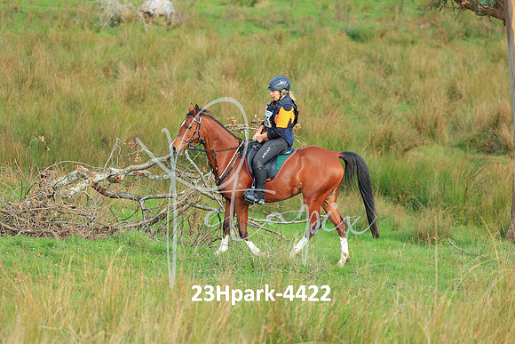 23Hpark-4422