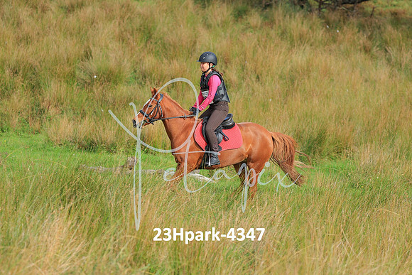 23Hpark-4347