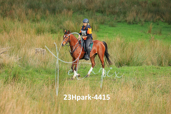 23Hpark-4415