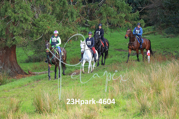 23Hpark-4604