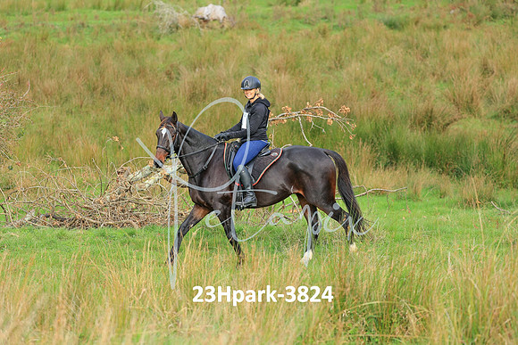 23Hpark-3824