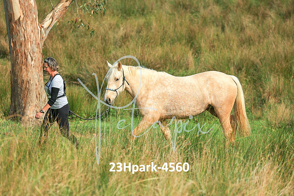 23Hpark-4560