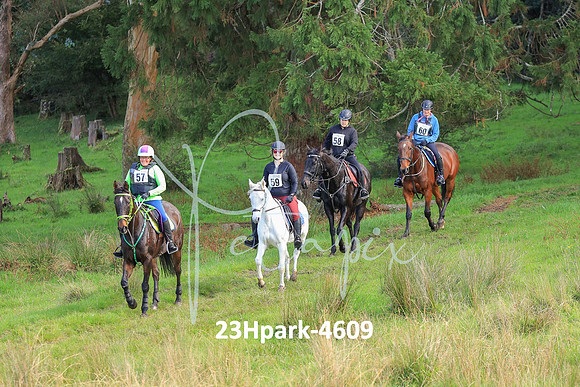 23Hpark-4609