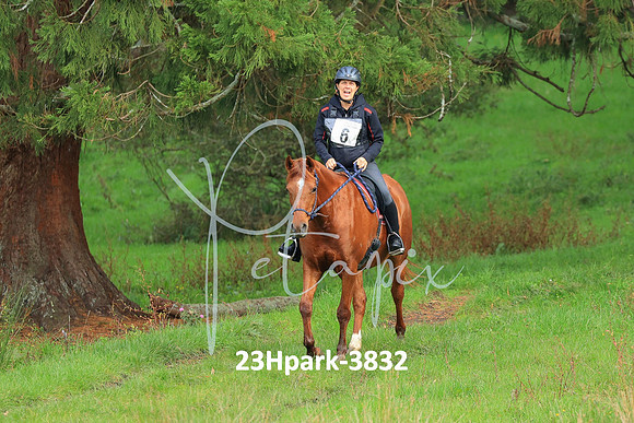 23Hpark-3832