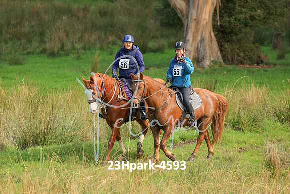 23Hpark-4593