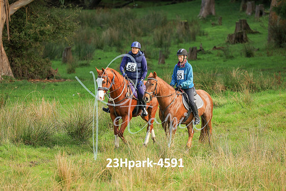 23Hpark-4591