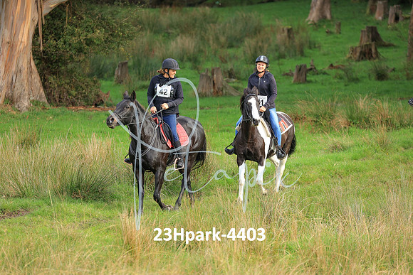 23Hpark-4403