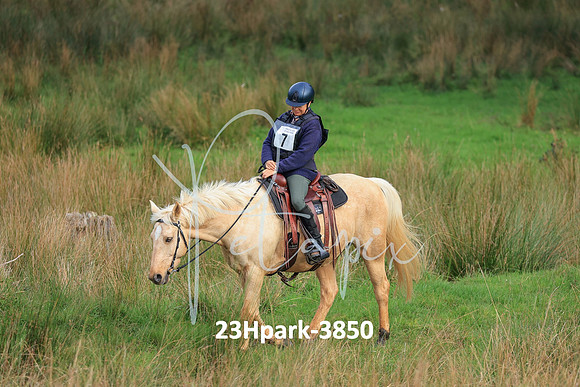 23Hpark-3850