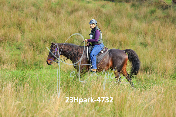 23Hpark-4732