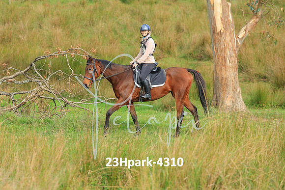 23Hpark-4310