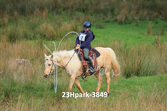 23Hpark-3849