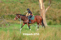 23Hpark-3753