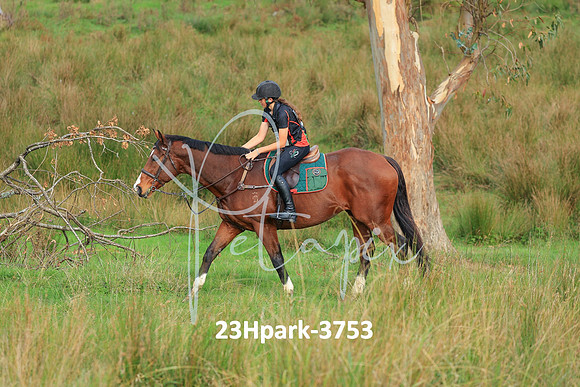 23Hpark-3753