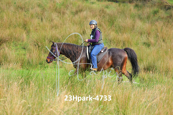 23Hpark-4733