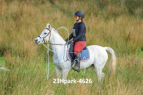 23Hpark-4626
