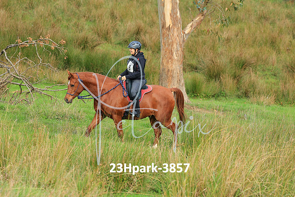 23Hpark-3857