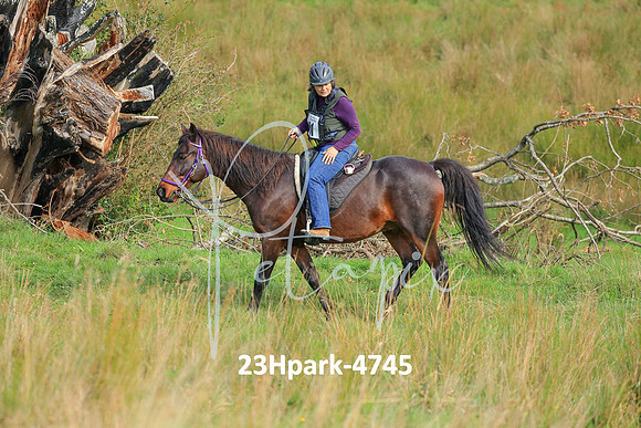 23Hpark-4745