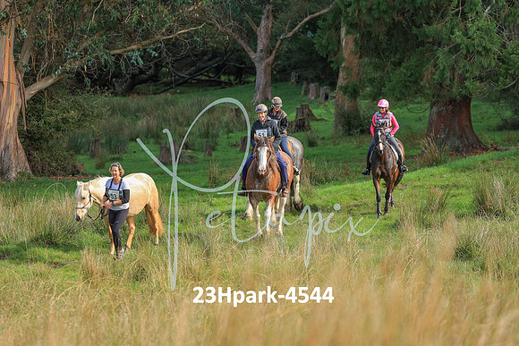 23Hpark-4544