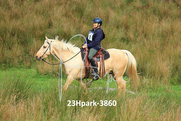 23Hpark-3860