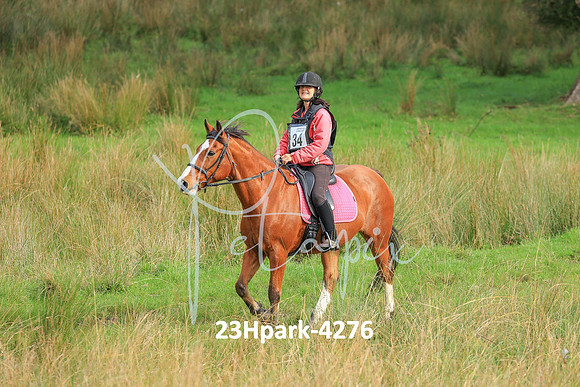 23Hpark-4276