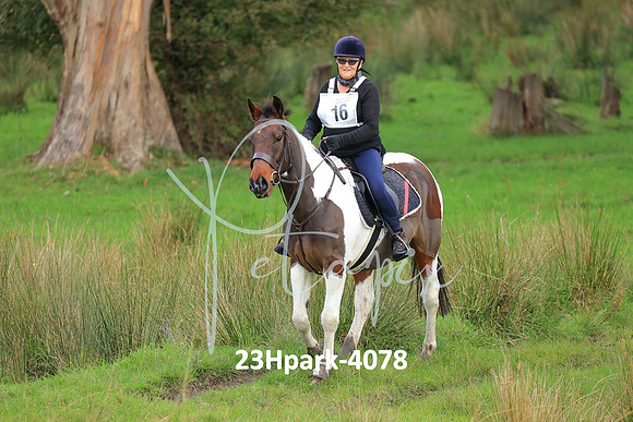 23Hpark-4078