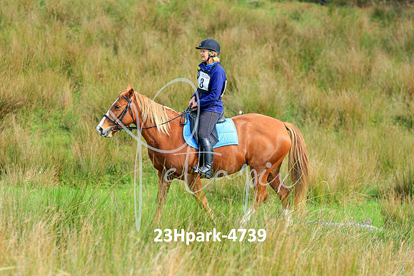 23Hpark-4739