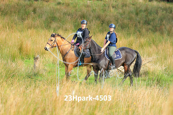 23Hpark-4503