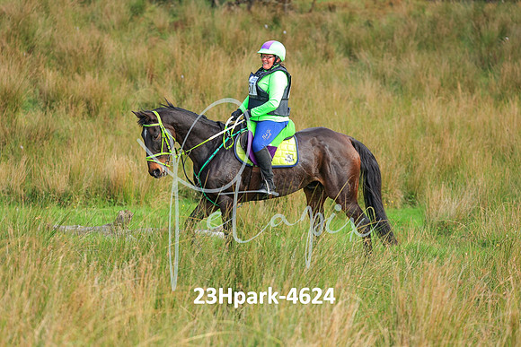 23Hpark-4624