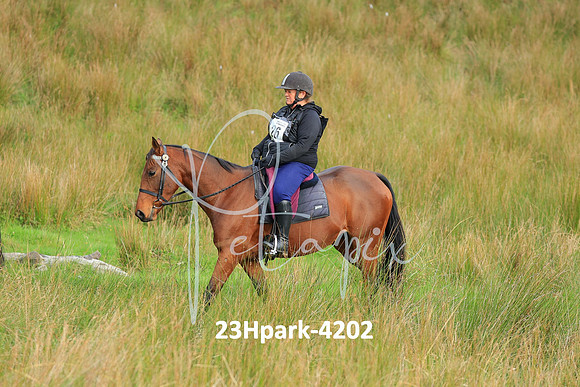 23Hpark-4202
