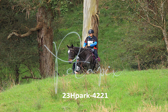 23Hpark-4221