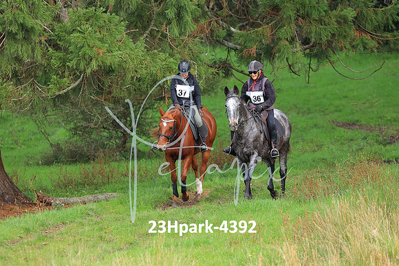 23Hpark-4392