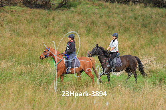 23Hpark-3894