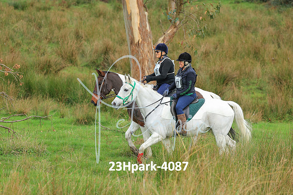 23Hpark-4087